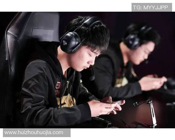 深入探讨RNG战队边路渗透策略与战术解析实时数据